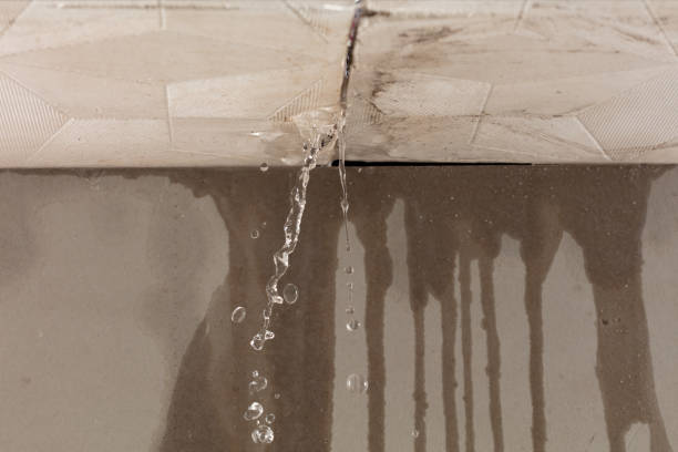 Professional Water Damage Repair technician working in Covington, LA